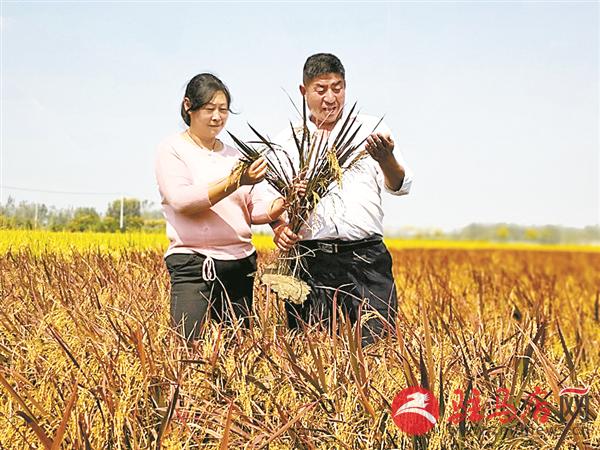 yangxh181060.jpg