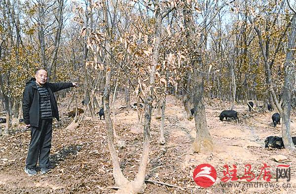 yangxh181288.jpg
