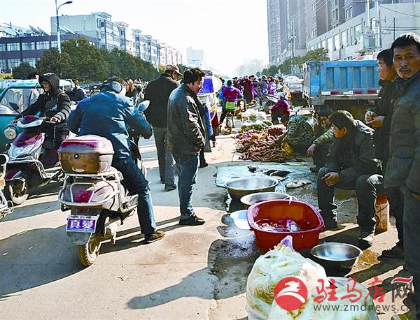 yangxh1901302.jpg