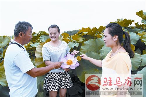 luf1407171.jpg