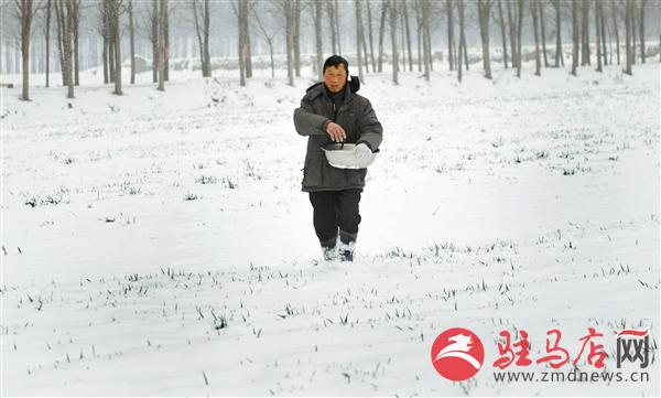zhangz1501162.jpg