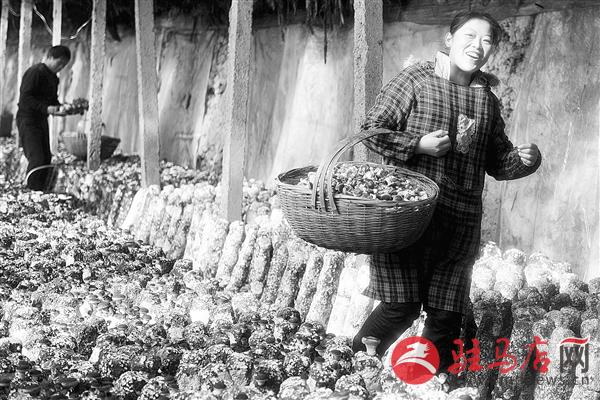 zhangz150218.jpg