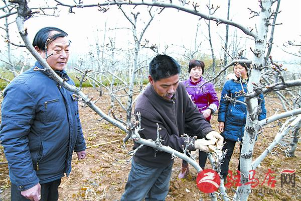 wangj1503130.jpg