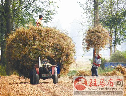 guols1609337.jpg