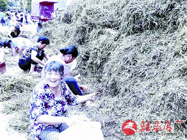 guojg17061281.jpg