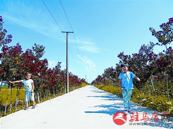 yangxh1807185.jpg