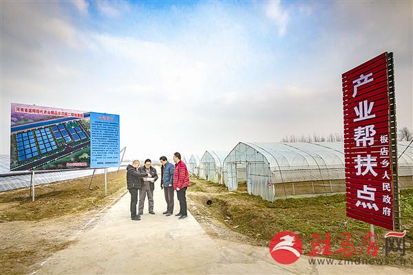 guols181174.jpg