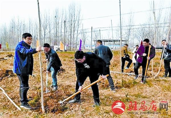yangxh1903170.jpg