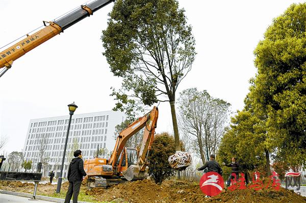 wangc190412.jpg