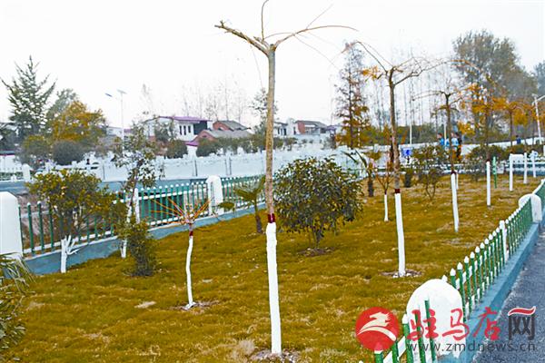 yangxh1904162.jpg