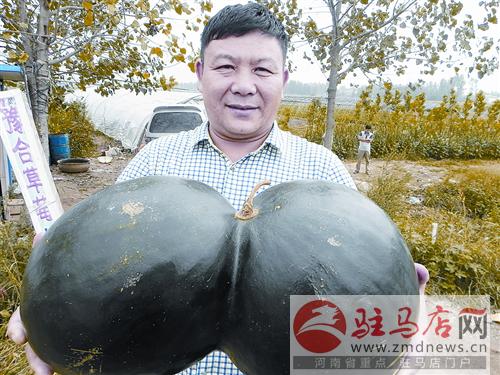qif14090.jpg