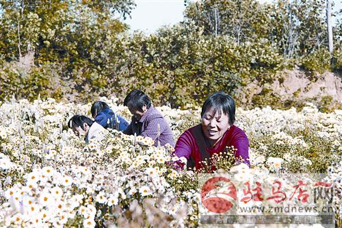 qif141152.jpg