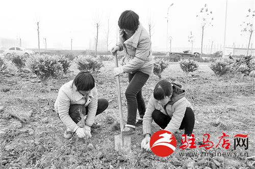 zhangz1412266.jpg