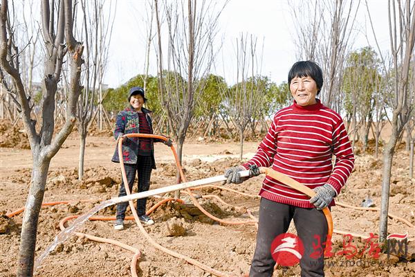 guols1903206.jpg
