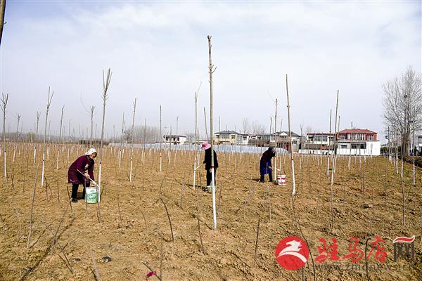 guols1903264.jpg