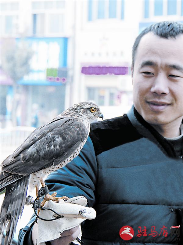 zhaol150271.jpg