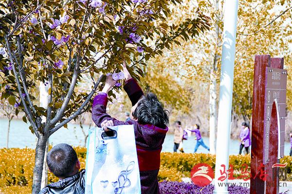 wangj1504181.jpg