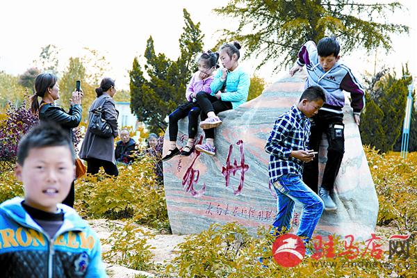 wangj1504184.jpg