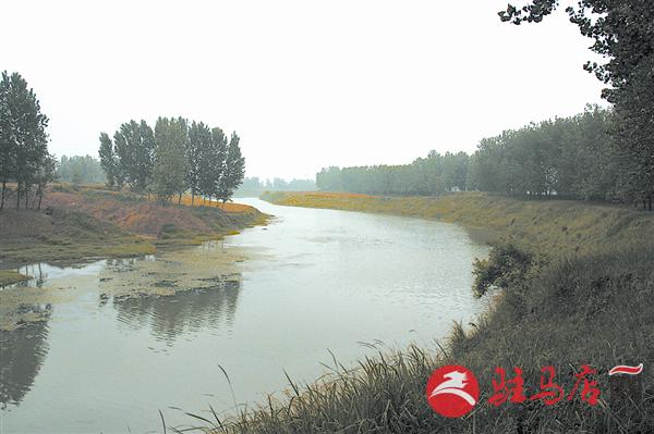 wangy150635.jpg