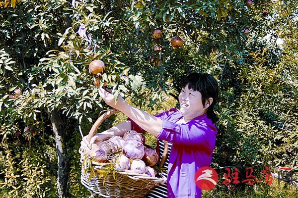 wangj150953.jpg