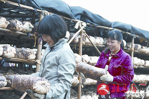 wangj1511168.jpg