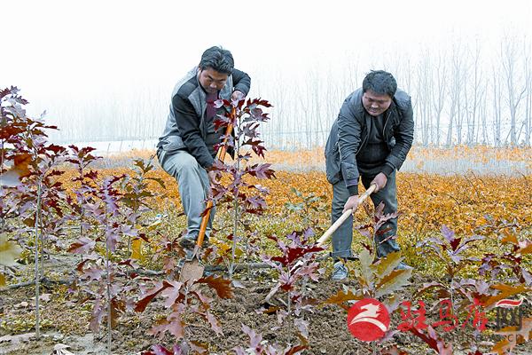 wangj1511218.jpg