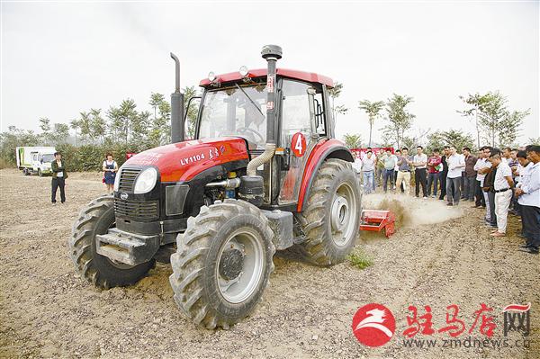 guols1609646.jpg