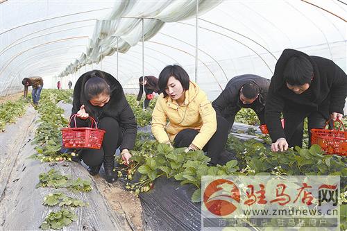 guols1701142.jpg