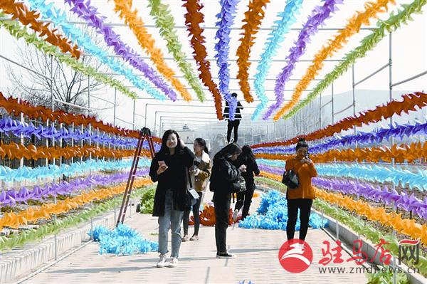 guojg1703146.jpg