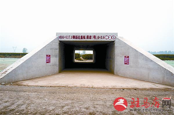 wangzh1708161.jpg