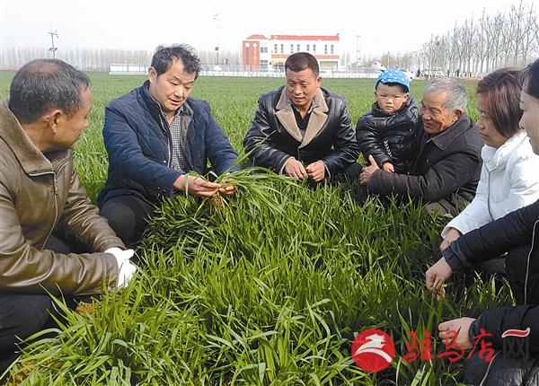 guols1803319.jpg