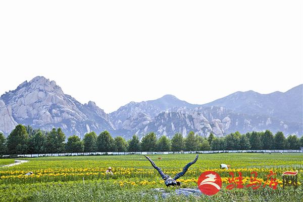 guols1809329.jpg