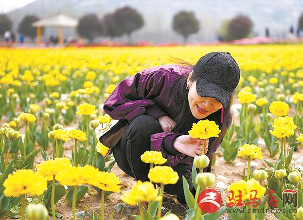 qif1903140.jpg