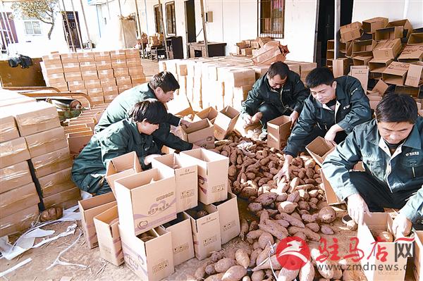 wangzh161199.jpg