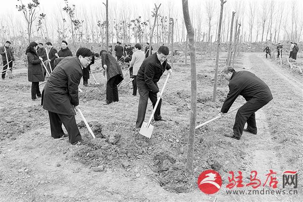 guols1501298.jpg