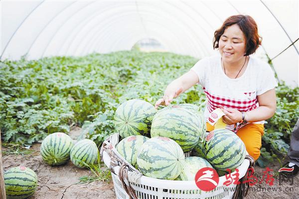 zhangz1506176.jpg