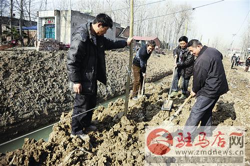 guols1601147.jpg