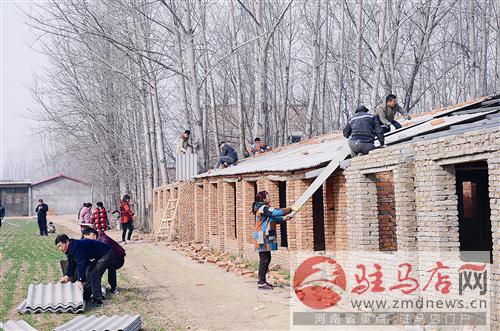wub1602123.jpg