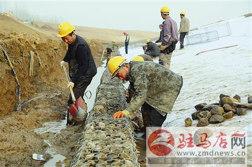 guols1602366.jpg