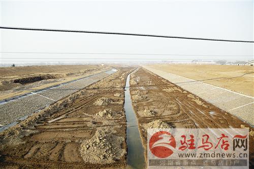 guols1602369.jpg