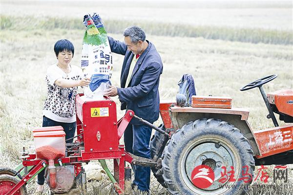 guols1606112.jpg