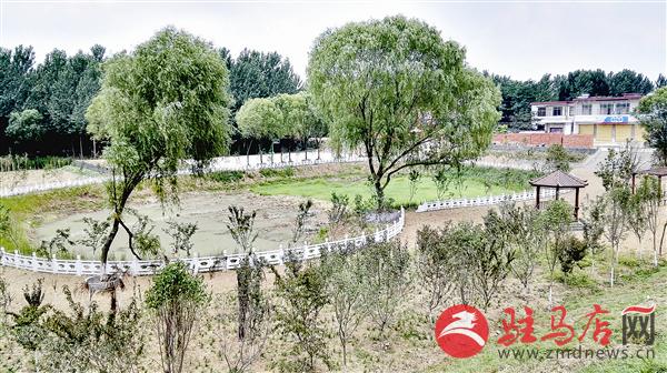 guols1606397.jpg