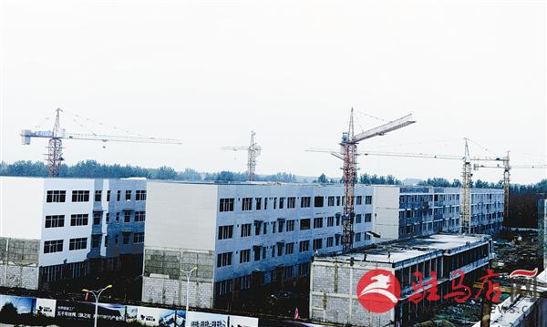 wub1608355.jpg