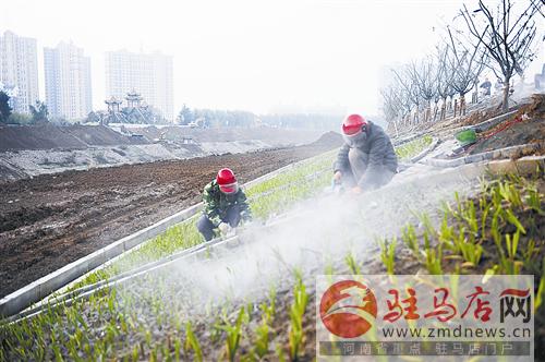 guols1611178.jpg