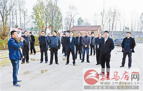 guols1611183.jpg