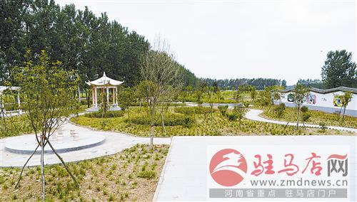 guols1611181.jpg