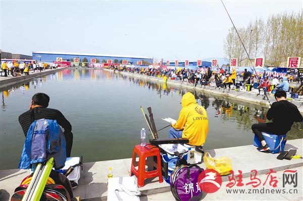 guols1612214.jpg