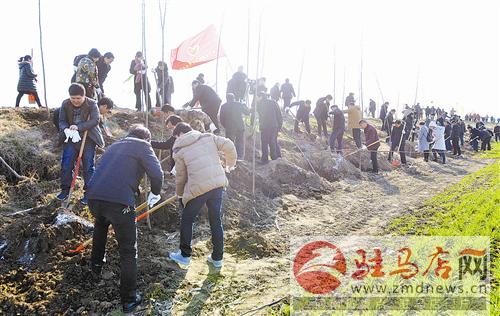 guols1702256.jpg