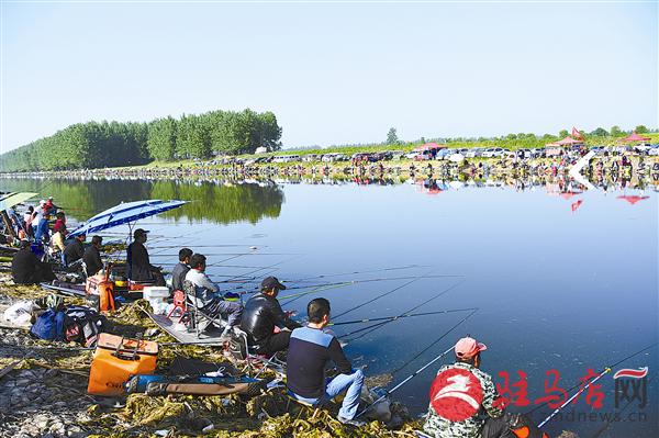 guols1705162.jpg