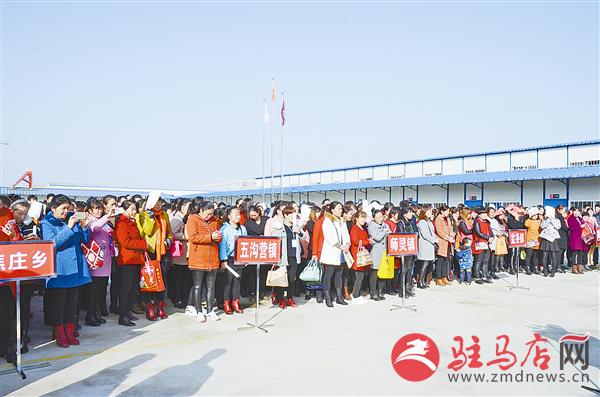 wub1709276.jpg